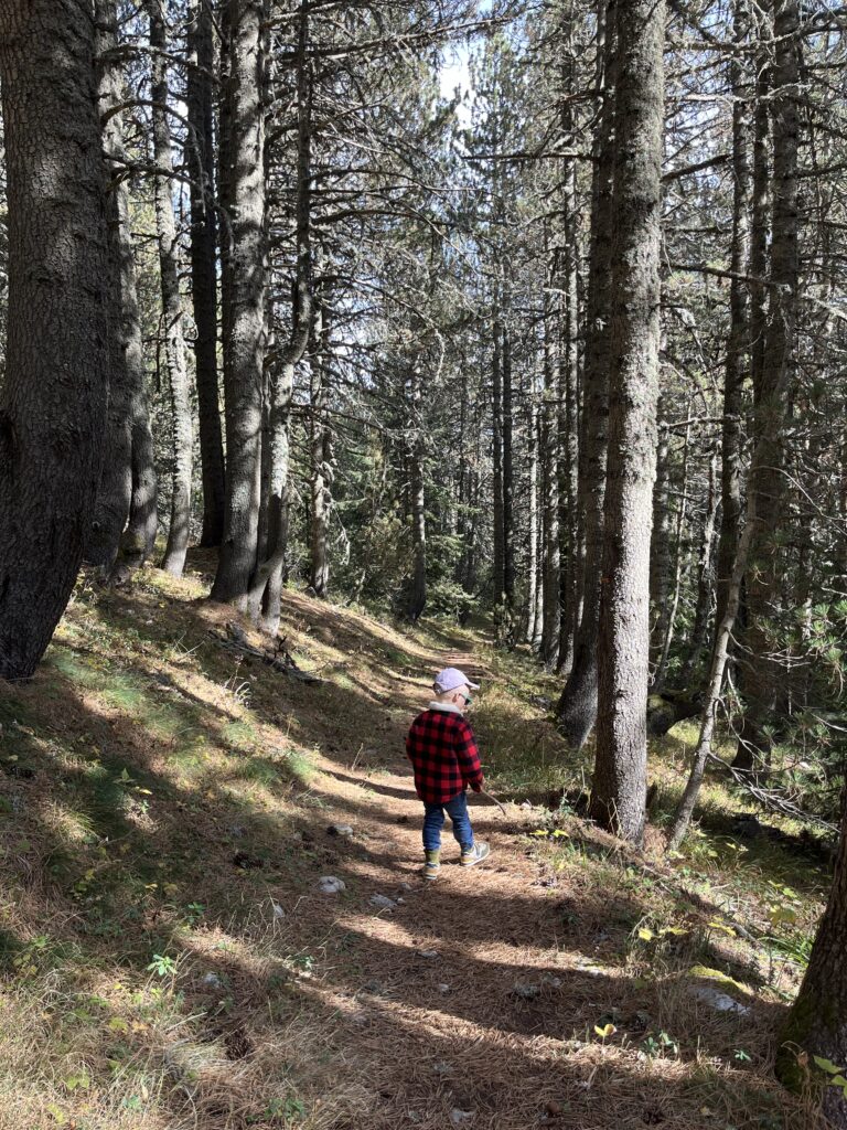 Wandern mit Kind