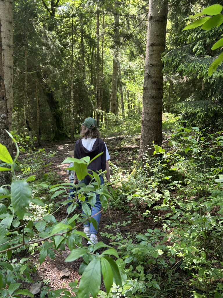 Wandern in Georgien
