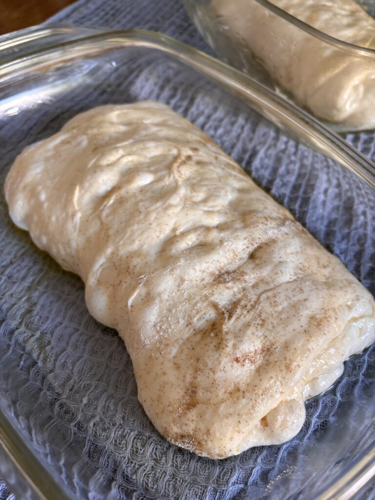 Focaccia dough zweite gare