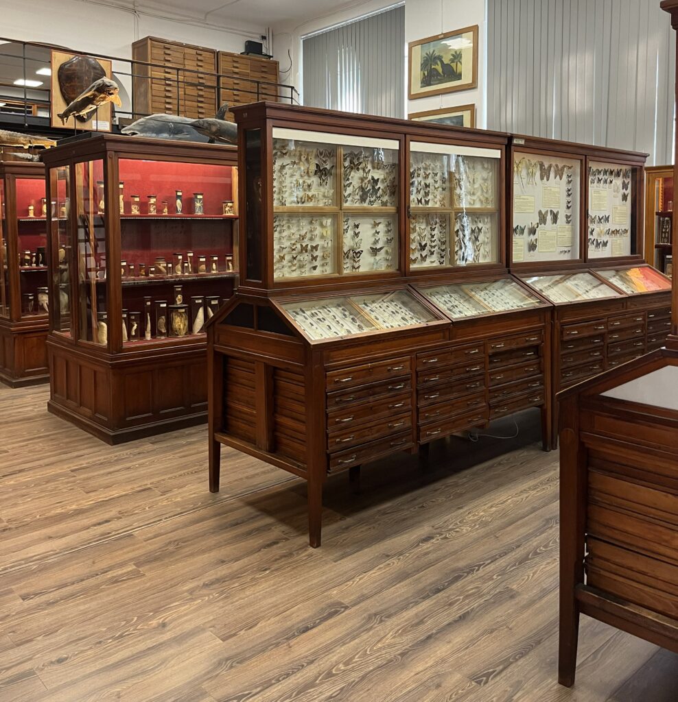 Rumänien mit Kindern Museum