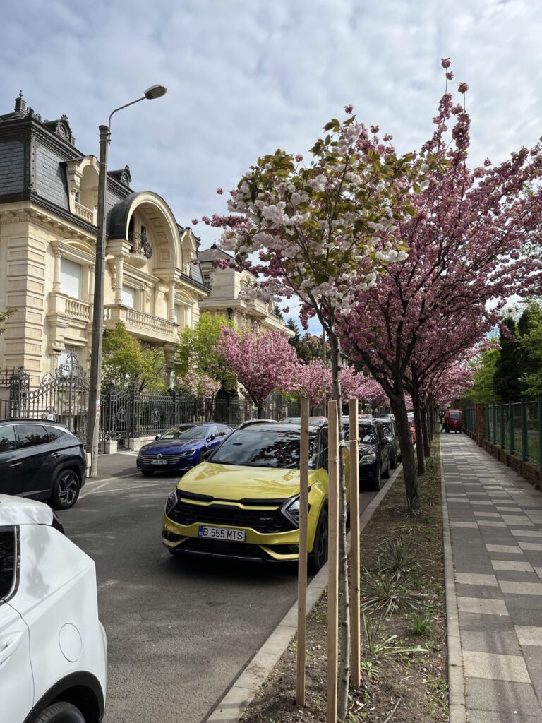 Rumänien im Frühling Reisetipps