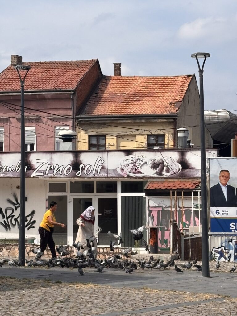 Urlaub in Bosnien Alte Dame und die Tauben